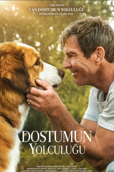 A Dog's Journey 2