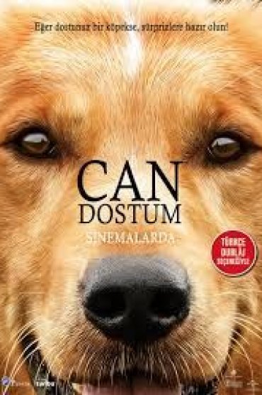 A Dog's Purpose 1