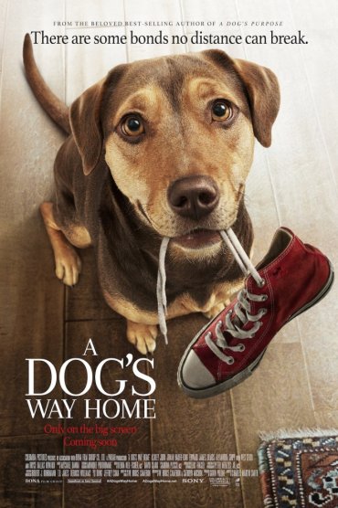 A Dog's Way Home