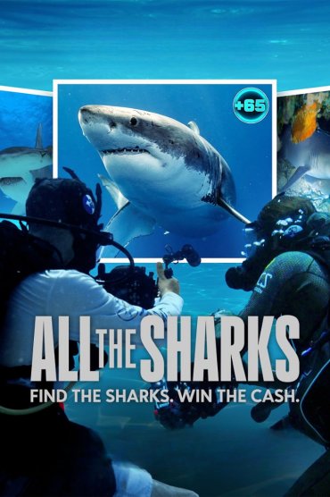 All the Sharks