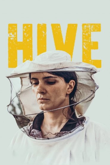 Hive - Zgjoi