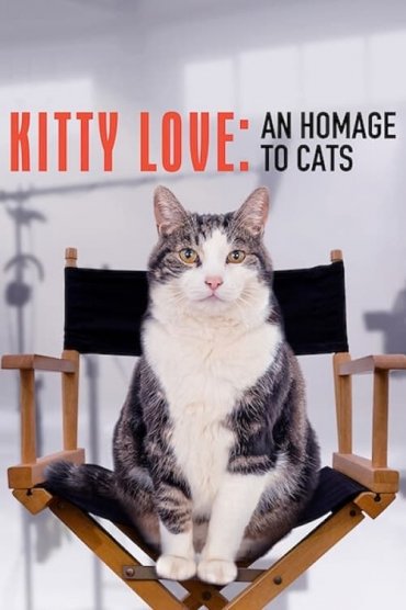 Poeslief: een ode aan de kat