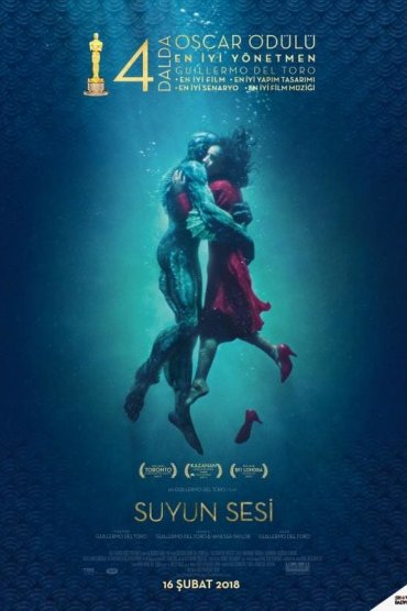 The Shape of Water