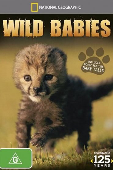 Wild Babies