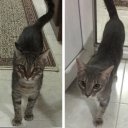 LaFaZaN_07