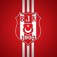 Birkan Arslan