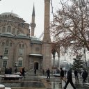Nazlı