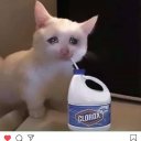 @emonimo