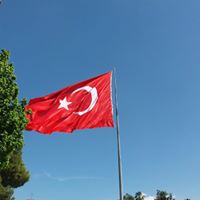 Furkan Gök