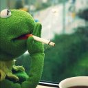 kermit51