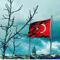Beyza Demir