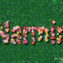 @nermin2007