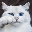@bilemiyorum1234