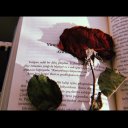 @ilknurarslan15