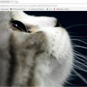 cutekittyTR