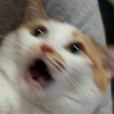 teytey