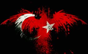Göktuğ Köseli