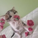 Merveee