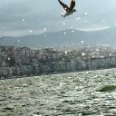 A.Haluk