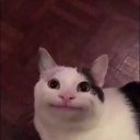 BA