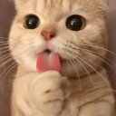 ヅ͏