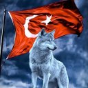 Metehan Türkoğlu