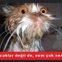 Hava Şahin