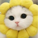 @cimbomlu3472
