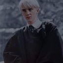 dracoloved