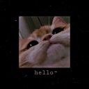 hello bitch