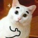 @schoneleard