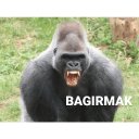 Beyzaaay