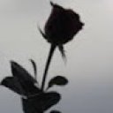 @zeynep529529
