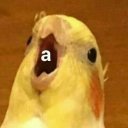 @lhdmla