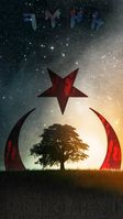 Mehmet Arda Tosun
