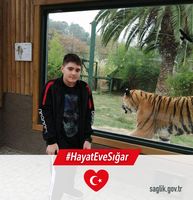 Yusuf Süvari