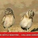 @beyzade870