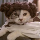 catia.skywalker