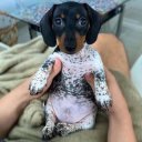 sybil