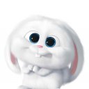 @seha01
