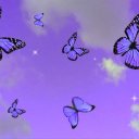 Butterfly :)