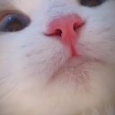 @ebruuuu