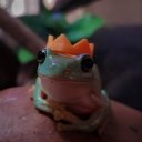 @sillyuser