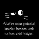 cihangir kartal