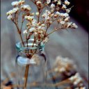Shatter_Me♥