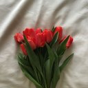 @isimyokgcg
