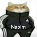 @ismailcan123