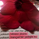 @gurgan