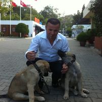 Tarkan Akcay