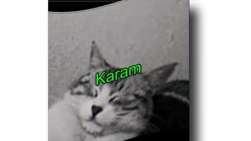 Karam Baha Dur